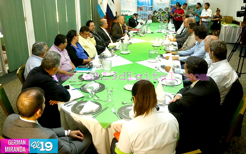 delegacion