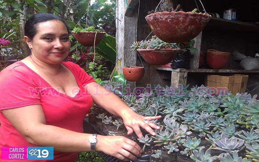 jardines