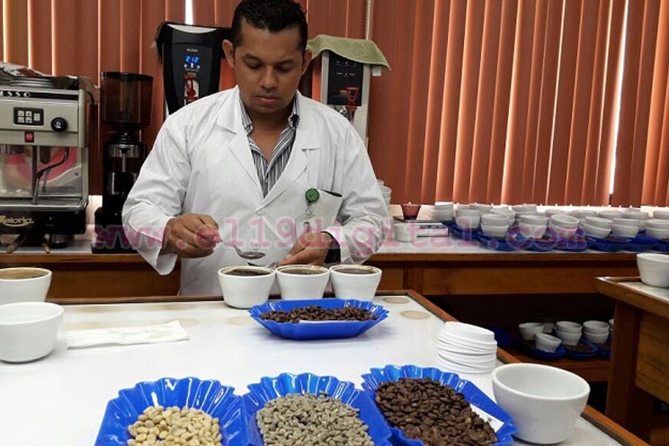 exportaciones-cafe