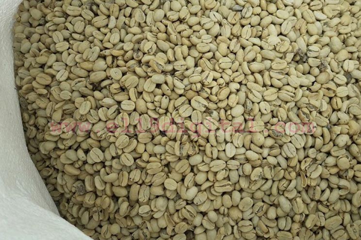 exportaciones-cafe