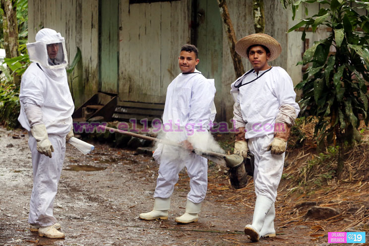 Macizo Peñas Blancas