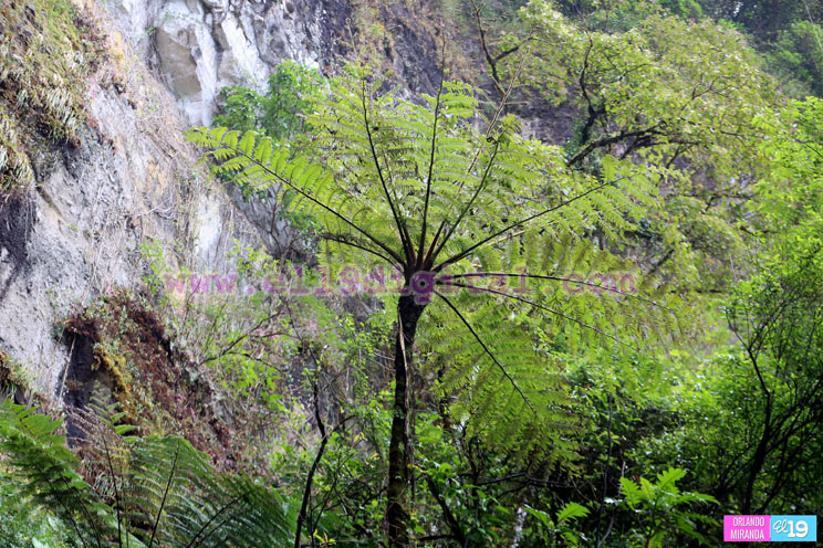 Macizo Peñas Blancas