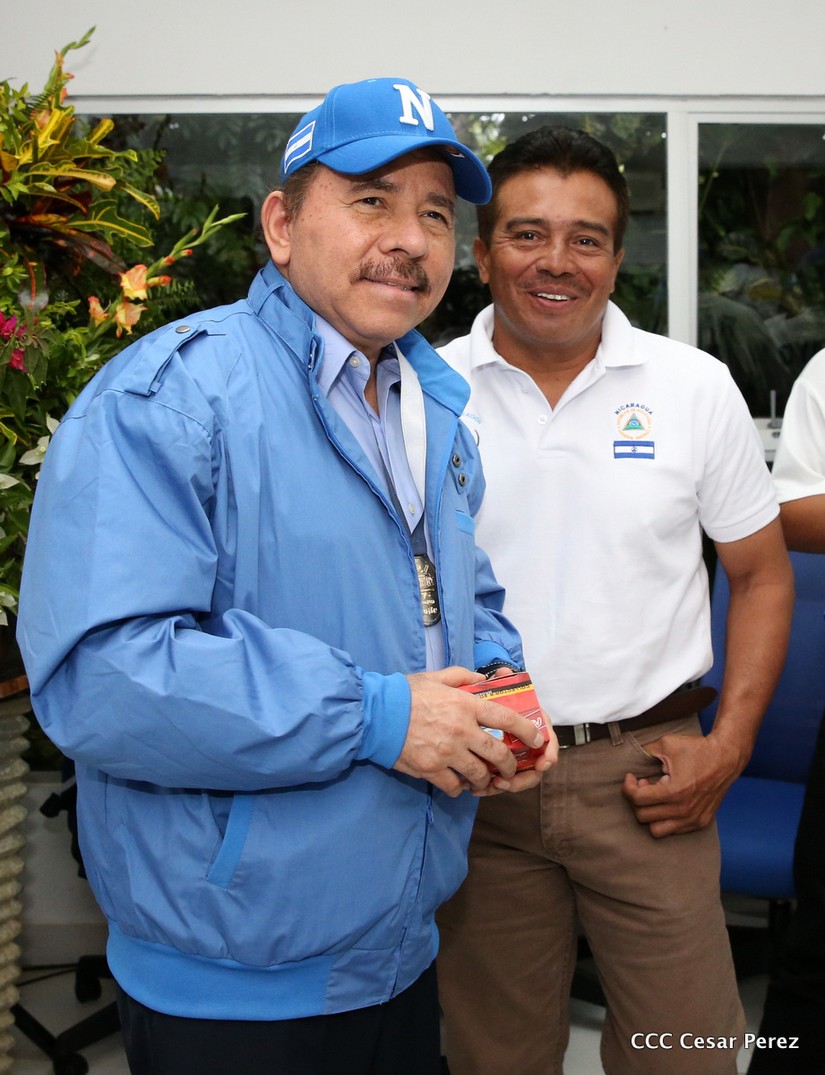 peloteritos