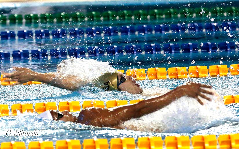 natacion