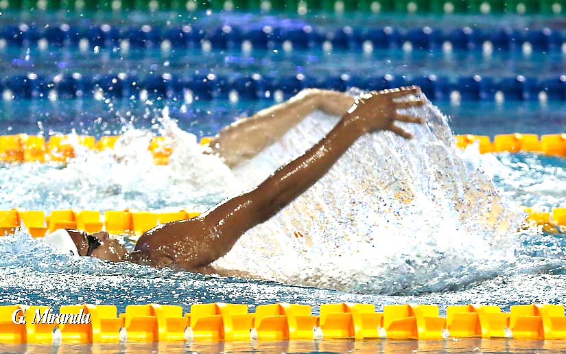 natacion