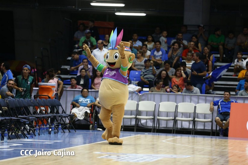 basket