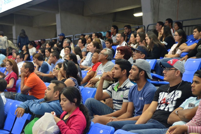 voleibol