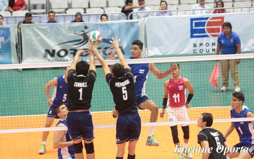 voleibol