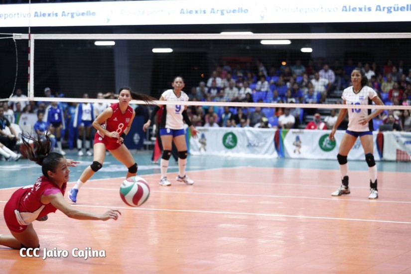 voleibol