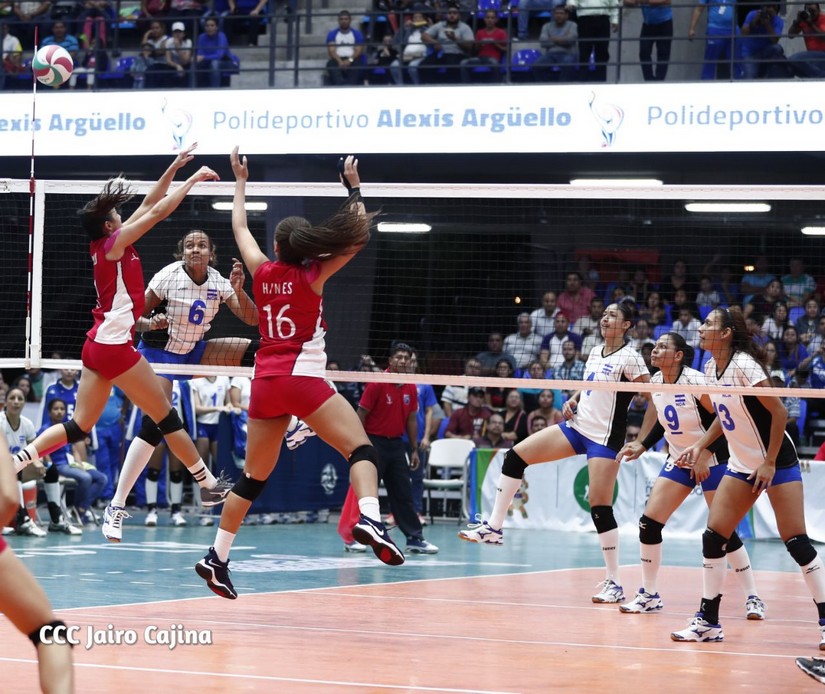 voleibol