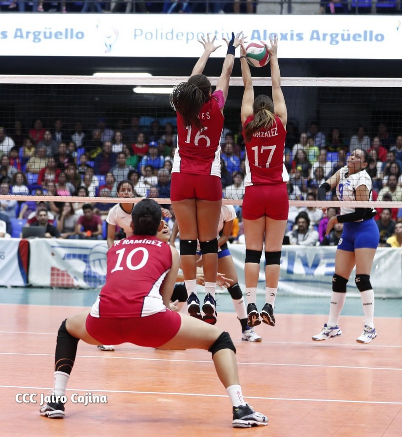 voleibol