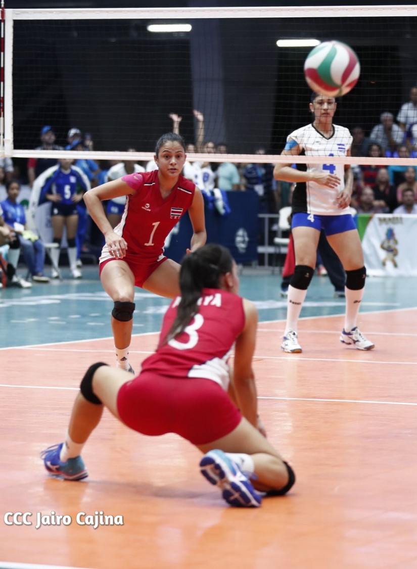 voleibol