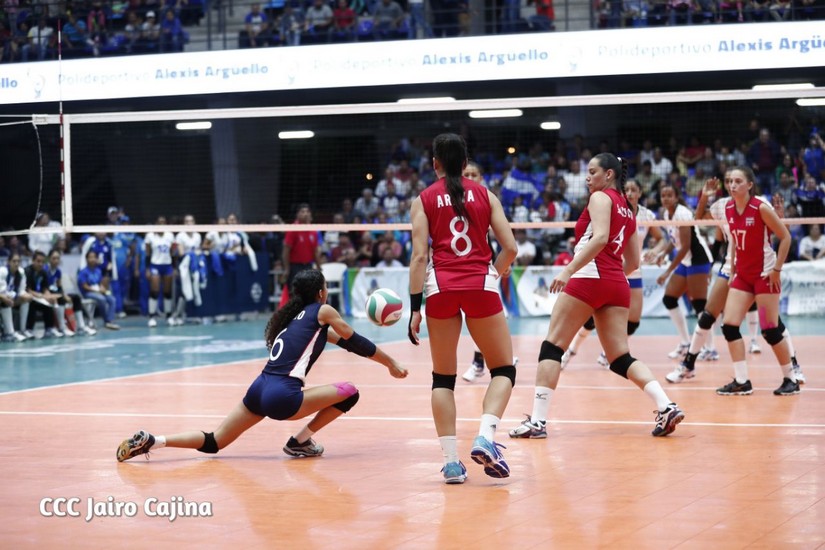 voleibol