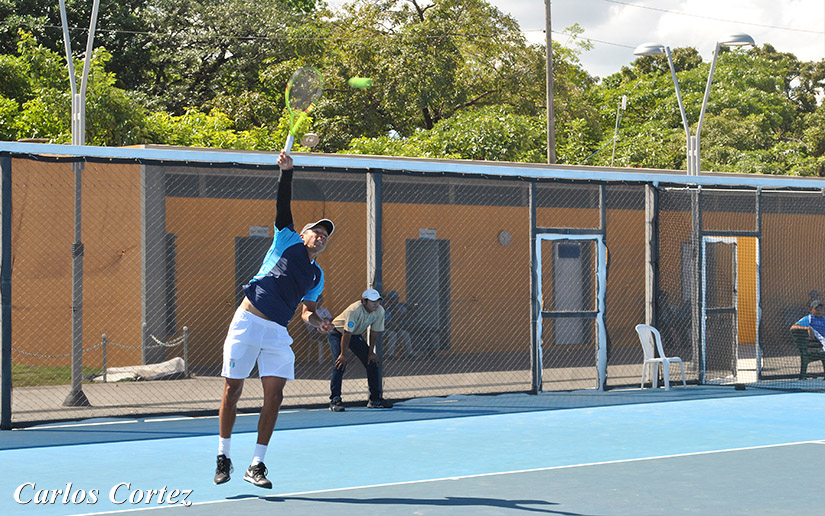 tenis