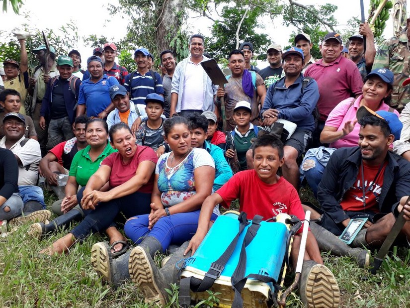 reforestacion