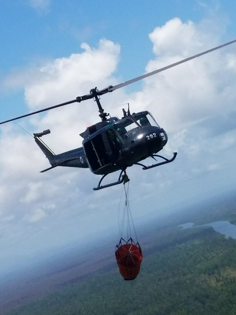 pilotos