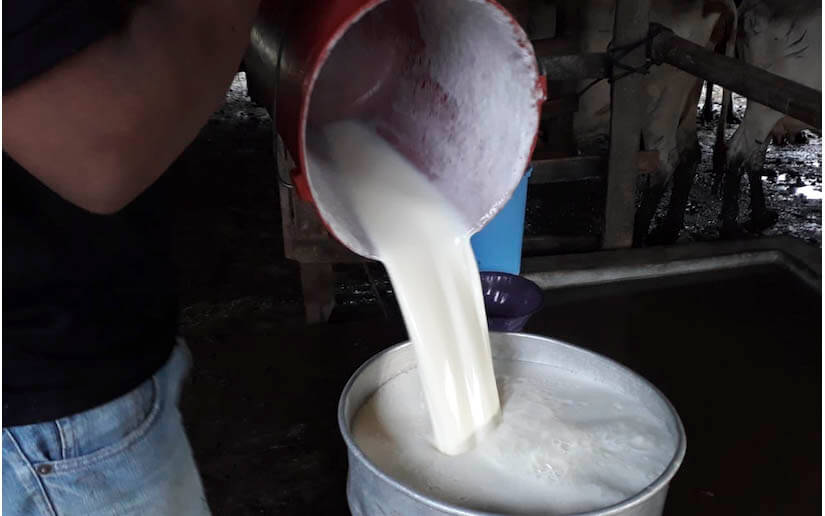 leche