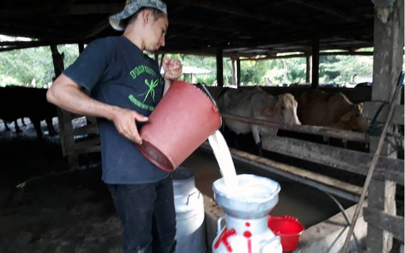 leche