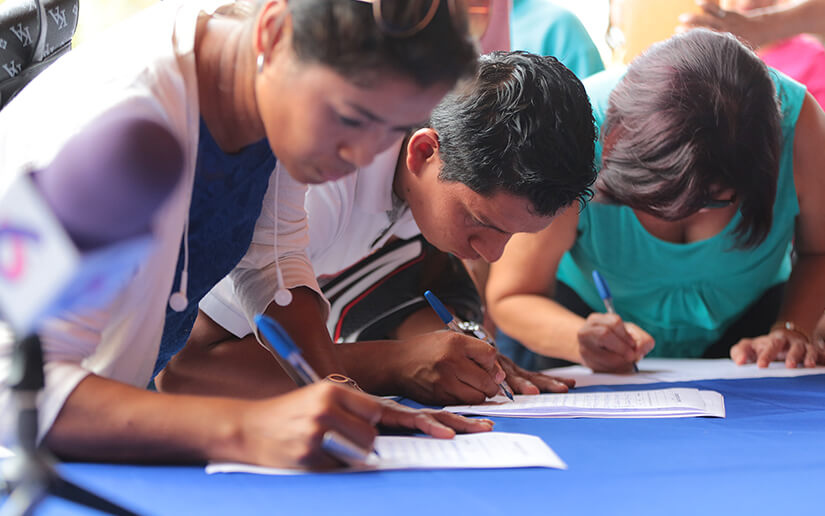 firmas