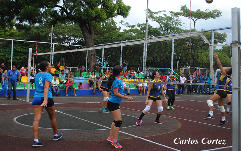 volley2
