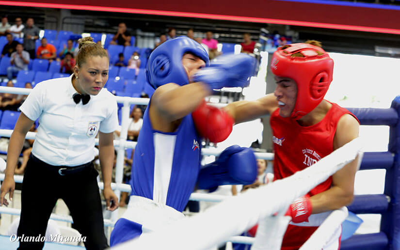 boxeo