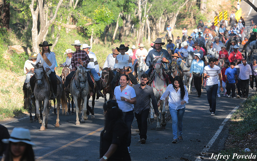 hipicos