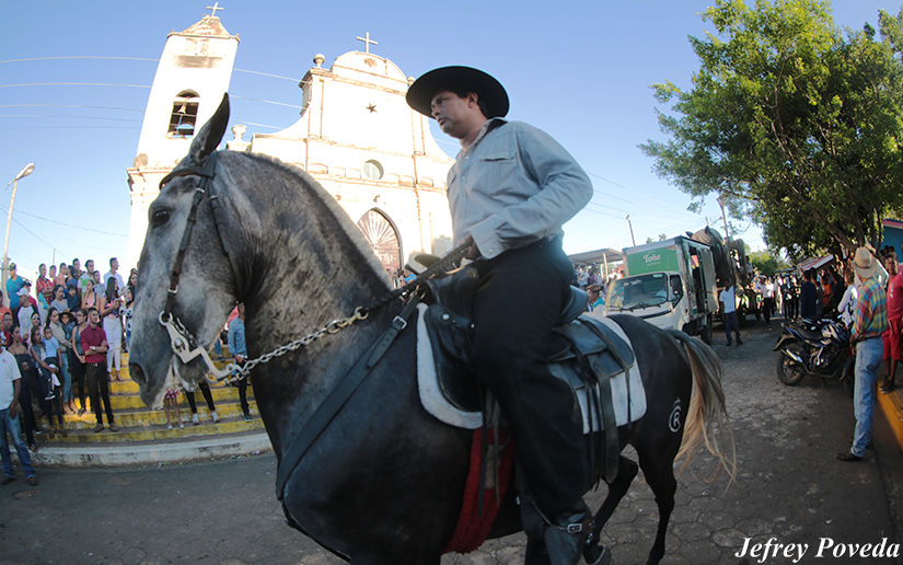 hipicos