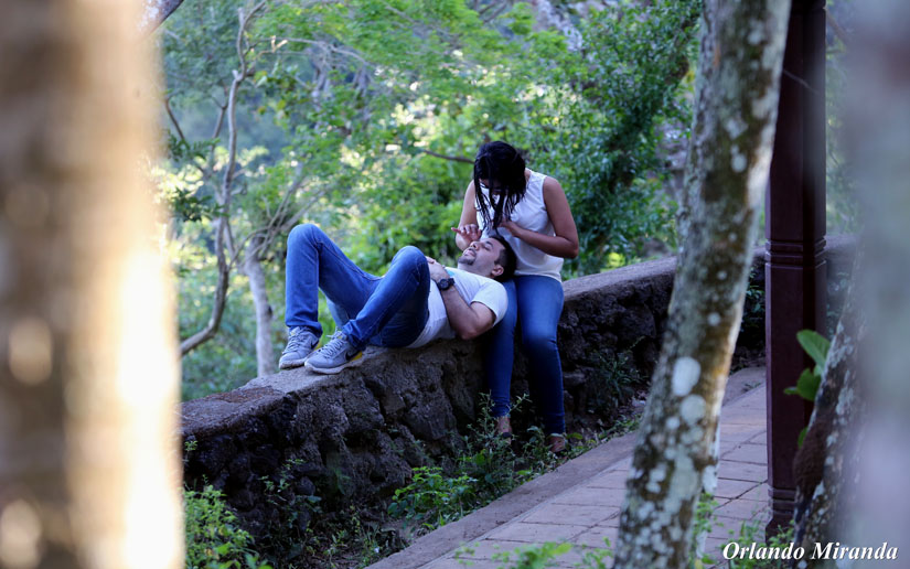 catarina
