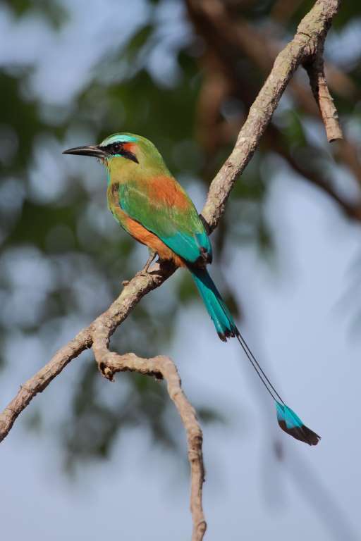 nicaragua