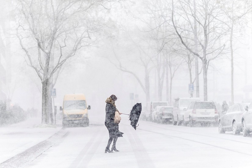 nieve