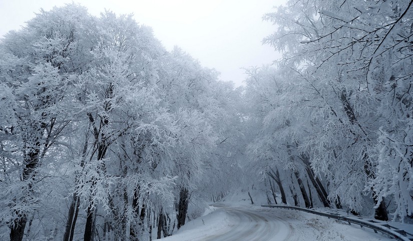 nieve