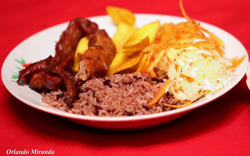 cerdito-bluefields