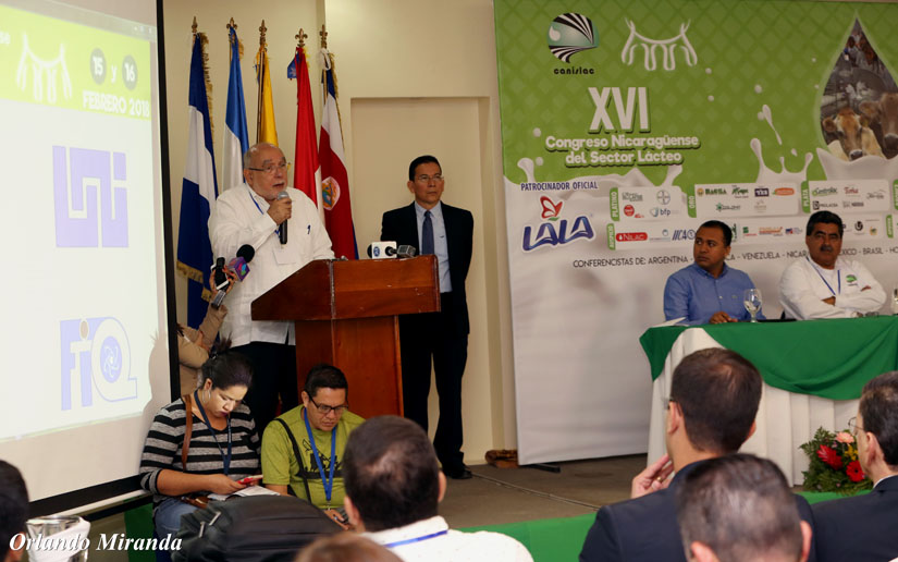 congreso