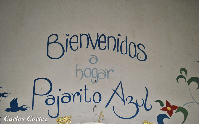 uca