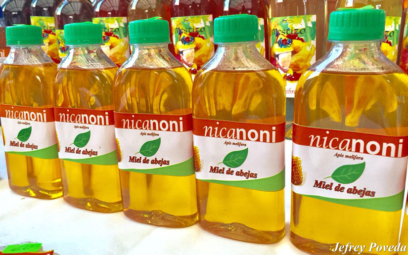 noni