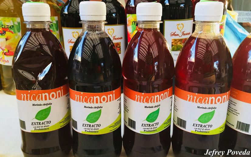 noni
