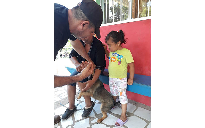 vacunacion
