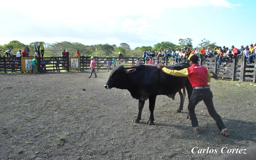 fiesta