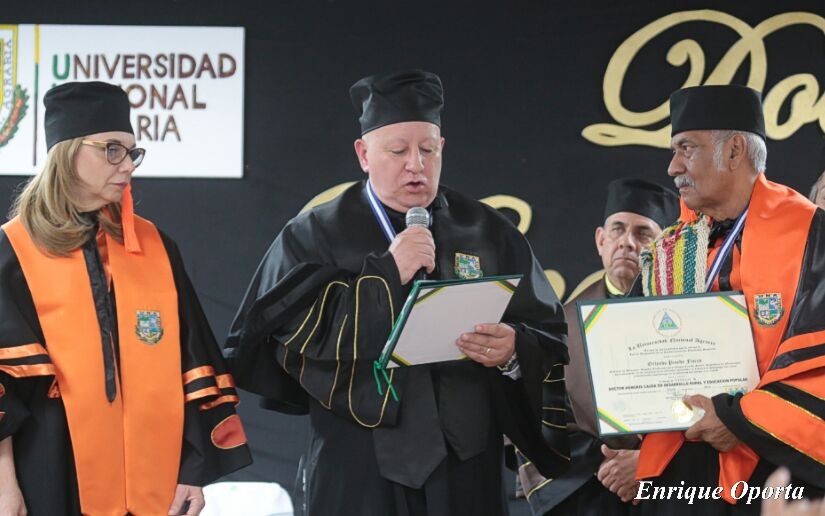 pineda