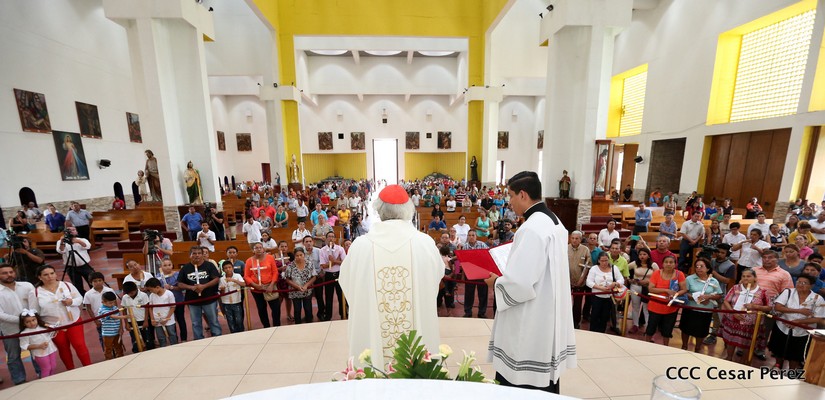 cardenal