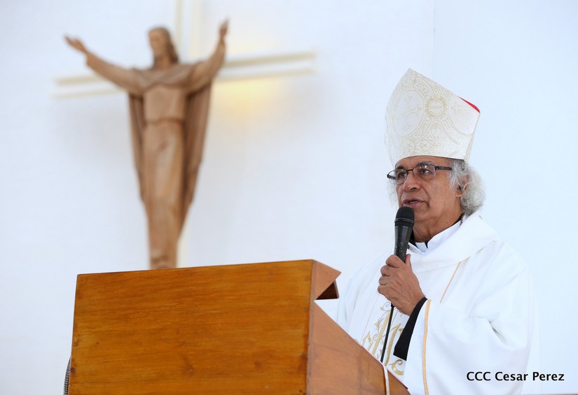 cardenal