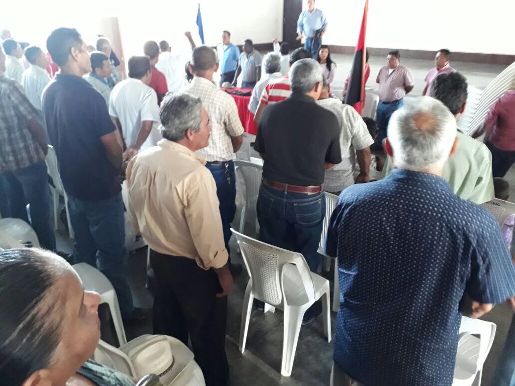 Jalapa1