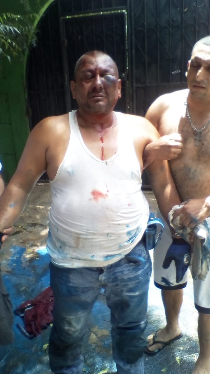 compañero