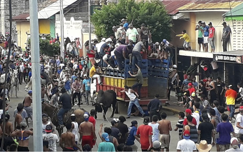toros
