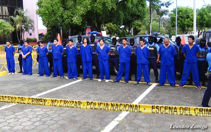 POLI1
