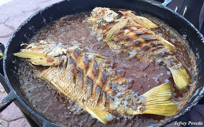 INPESCA1