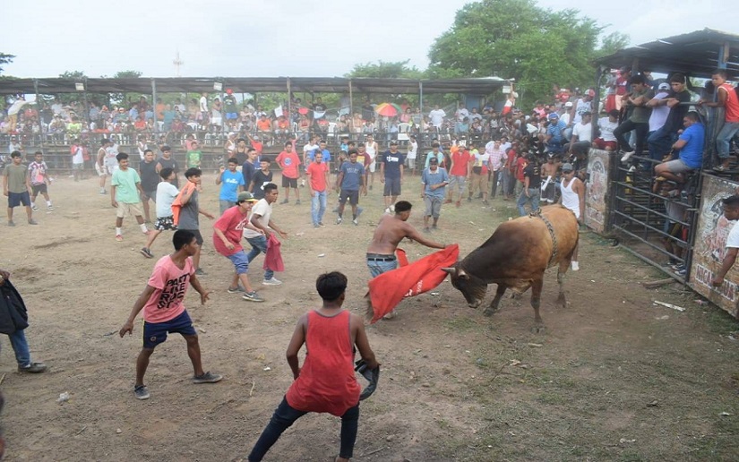 toro2