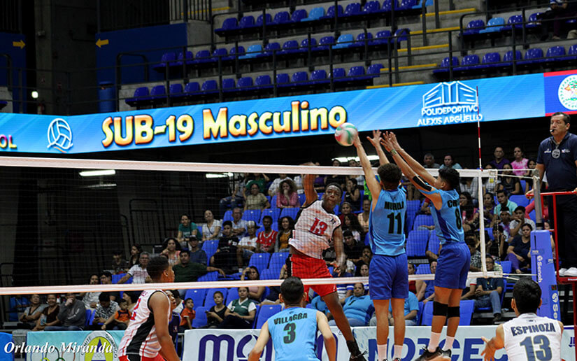 voleibol