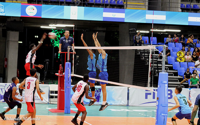 voleibol