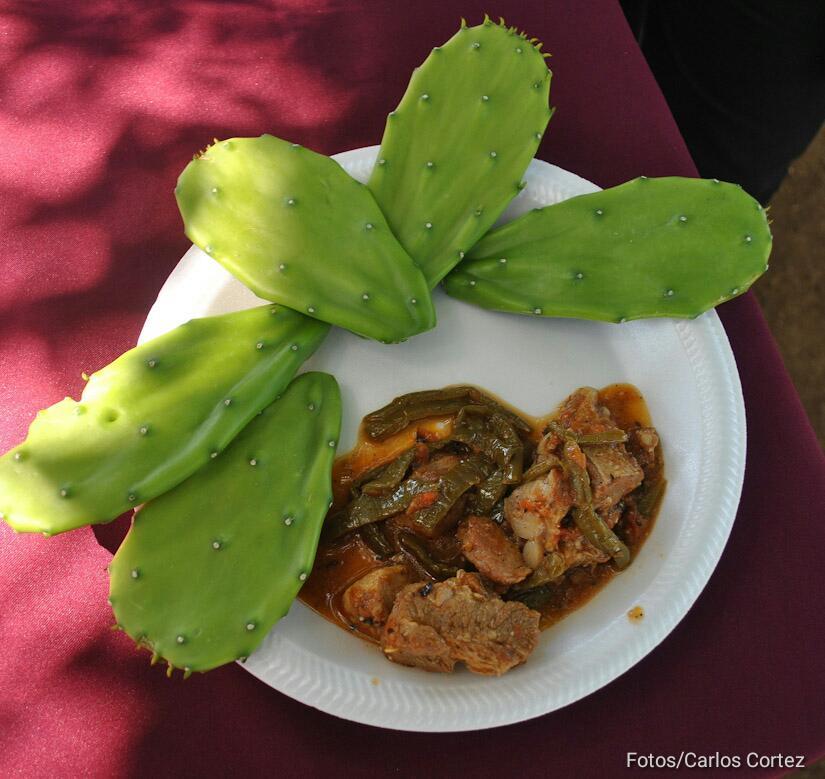 nopales-cultivo-leon